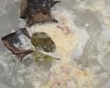 Foto langkah ke 3 dari resep Sop Ceker Ayam Empuk.
