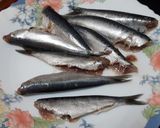 Foto del paso 2 de la receta: Sardinas en salsa de calabaza