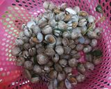 Foto langkah ke 2 dari resep Sop kerang dara.