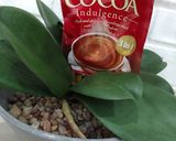 Foto langkah ke 1 dari resep Es Coklat Chia Seed Simpel.