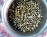 முளை கட்டிய பச்சை பயிறு இட்லி ரெசிபி ஸ்டேப் 1 புகைப்படம்