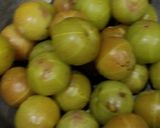 A picture of step 1 of Amla Murba.
