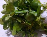 Foto del paso 1 de la receta: Berro en ensalada del Nono Nilo