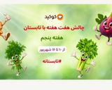 عکس مرحله 1 از دستور چای میوه ای
