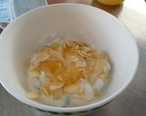 A picture of step 5 of Low Fat Greek Yogurt Mix.