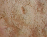 Foto del paso 2 de la receta: Tarta de peras chocolate blanco y coco