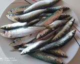 Foto del paso 2 de la receta: Sardinas escabechadas del restaurante C'luri