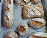 Foto del paso 4 de la receta: Pan de espelta vitaminado