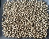 Foto del paso 2 de la receta: Mantequilla de Cacahuete Casera !!!! Desayuno energético !!!