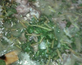 Foto del paso 1 de la receta: Carne de res con nopales y verduras