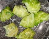 A picture of step 9 of Paneer Stuffed Cabbage Roll.