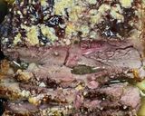 A picture of step 4 of Pot Roast.