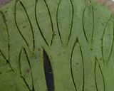 A picture of step 2 of Spinach Muttar.