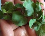 Ginger-Tulsi (Basil)Tea recipe step 1 photo