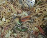 A picture of step 4 of Chinese noodles paratha.