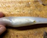 Foto del paso 7 de la receta: Técnicas de cocina: Limpiar el pescado