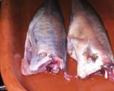 Foto del paso 1 de la receta Chicharros al ajo limón