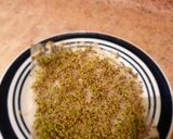 Foto del paso 2 de la receta: Brotes de chía