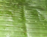 Foto langkah ke 5 dari resep Nasi Bakar Sambal Matah.