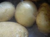 قوارب البطاطا