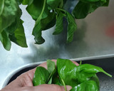 Foto del paso 1 de la receta: Vinagreta de albahaca 🌱 Aliño de albahaca 🌱