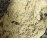 A picture of step 4 of Poolish bread.