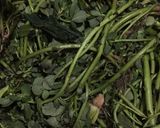Foto del paso 1 de la receta: Verdolagas con cerdo en chile verde