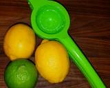 Mike's Adult Lemon Lime Slushies recipe step 3 photo