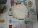 كاستر بصوص شوكولاته