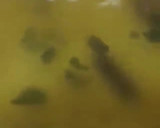 A picture of step 14 of Veal Biryani (Bachia ke gosht ki biryani).