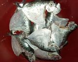 Foto langkah ke 2 dari resep Gulai Asam Lompong Ikan Pilot (Gulai Masam Keladi Ikan Pilot).