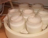 Foto del paso 2 de la receta: Yogur griego de stracciatella casero