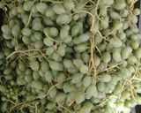 عکس مرحله 2 از دستور آبغوره ی سنتی🍇🍇🍇