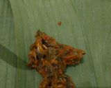 Foto langkah ke 3 dari resep Pepes Jangkang / baby crabs.
