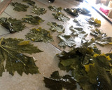 Foto del paso 5 de la receta: Tabaquitos “Yabrak”