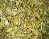 Foto langkah ke 1 dari resep Oseng-oseng Wortel dan Kecambah Kedelai.