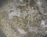 Foto del paso 10 de la receta: Medialunas fáciles sin empaste