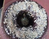 Foto del paso 6 de la receta: Bizcochuelo de Vainilla con harinas de avena, sésamo y más