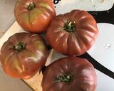 Une image de l'étape 5 de Tomates noires farcies à l élan,oignon et carotte,couronne de poireaux.