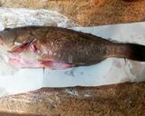 Foto del passaggio 3 della ricetta Cernia su Crosta di Patate al Forno