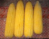 Foto langkah ke 2 dari resep Bakwan jagung mix wortel.