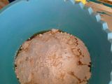 Chapati