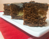 Foto del paso 6 de la receta: Delicia de chocolate con meteoritos de coco