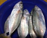 Foto langkah ke 1 dari resep Ikan kembung ala sarden.
