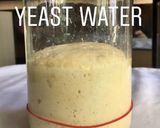 Foto langkah ke 4 dari resep Sourdough Starter dari Yeast Water.