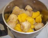 Foto del paso 7 de la receta Helado de mango y plátano
