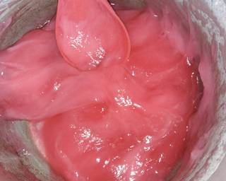 Cendol Sagu - Step 2