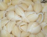A picture of step 1 of Chilli Pasta.