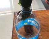A picture of step 4 of Grape Leaf Preserving Methods.