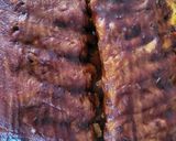 A picture of step 9 of Pork ribs.